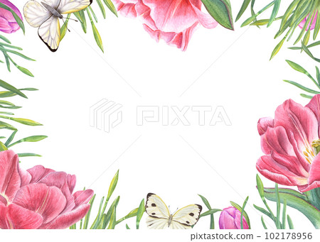 Watercolor horizontal frame with tulips, leaves, white butterflies isolated on white background. Illustration for the design of Save the Date, Valentines day, birthday, wedding postcards, invitations Watercolor horizontal frame with tulips, leaves, white butterflies isolated on white background. Illustration for the design of Save the Date, Valentines day, birthday, wedding postcards, invitations 102178956