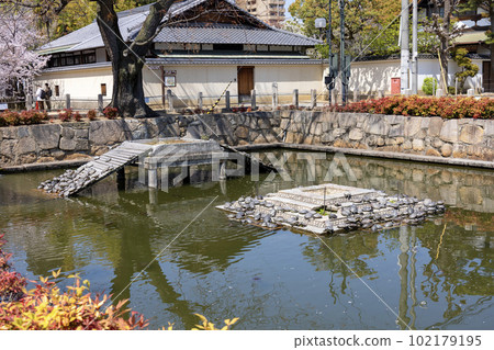 大阪四天王寺“龜之池”(攝於 2023 年 4 月 1 日) 大阪四天王寺“龜之池”(攝於 2023 年 4 月 1 日) 102179195