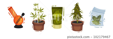 Cannabis Product with Growing Plant in Pot, Organic Cream Tube and Bong Vector Set Cannabis Product with Growing Plant in Pot, Organic Cream Tube and Bong Vector Set 102179467