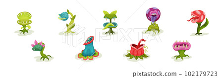 Carnivore Plants or Monster Flowers as Fantastic Flora Vector Set Carnivore Plants or Monster Flowers as Fantastic Flora Vector Set 102179723