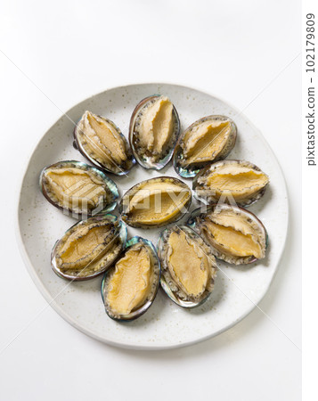 abalone seafood fresh material raw abalone seafood アワビ あわび abalone abalone seafood fresh material raw abalone seafood アワビ あわび abalone 102179809