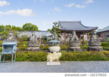 Gochizan Rengeji Temple Gochi Nyorai Statue Cherry blossom season (Omuro, Ukyo Ward, Kyoto City) Gochizan Rengeji Temple Gochi Nyorai Statue Cherry blossom season (Omuro, Ukyo Ward, Kyoto City) 102179810