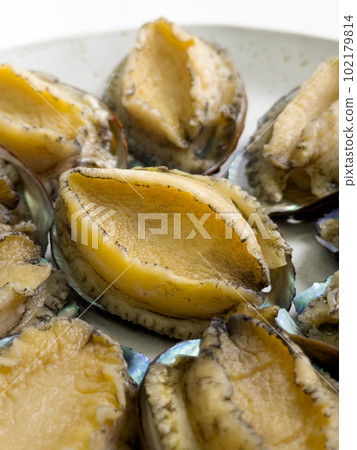 鮑魚 海鮮 生鮮 材料 raw abalone seafood アワビ あわび 鮑 102179814