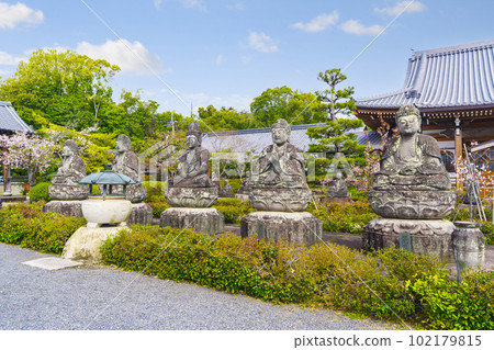 Gochizan Rengeji Temple Gochi Nyorai Statue 櫻花季（京都市右京區大室） 102179815
