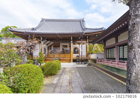 Gochizan Rengeji Temple本堂櫻花季（京都市右京區Omuro） 102179816