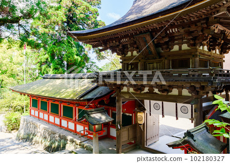 [Nara Prefecture] Tenri City Isonokami Shrine (photographed on April 27, 2023) 102180327