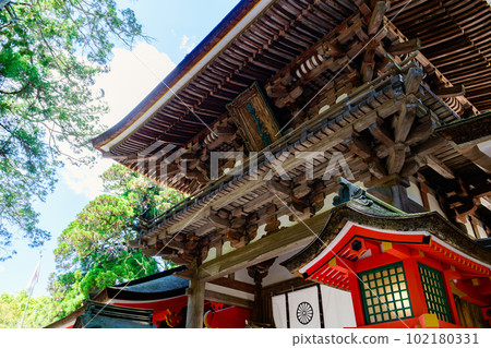 [Nara Prefecture] Tenri City Isonokami Shrine (photographed on April 27, 2023) 102180331