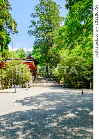 【奈良縣】天理市磯上神社(攝於2023年4月27日) 【奈良縣】天理市磯上神社(攝於2023年4月27日) 102180359