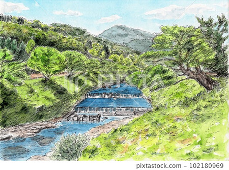 Countryside in early summer with lush trees 102180969