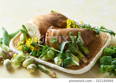 Spring vegetables in a colander 102180988