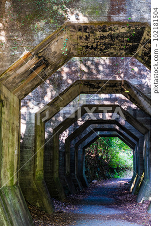 Octagonal Tunnel [Misato-cho, Shimomashiki-gun, Kumamoto Prefecture] 102181504