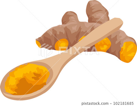 Turmeric illustration material vector 102181685