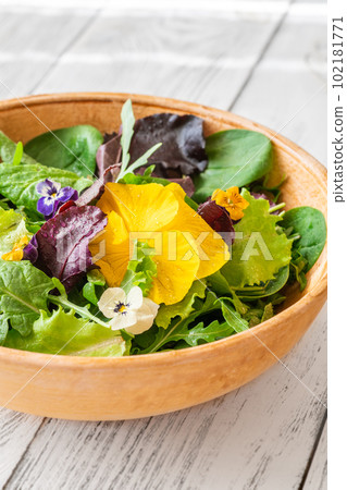 Bowl of salad Bowl of salad 102181771
