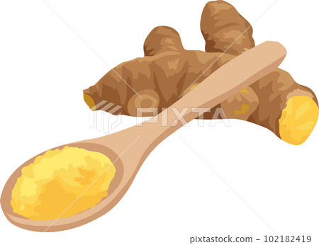 Ginger, ginger illustration material vector 102182419