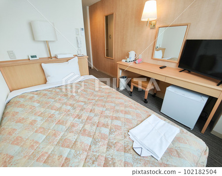 Business hotel room 102182504