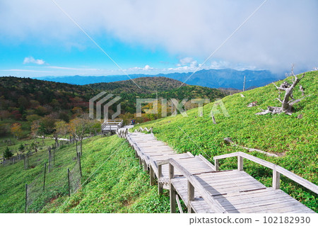 Yoshino-Kumano National Park in autumn, facing the Kumano Sea from near Masaki Pass where dead trees spread out Yoshino-Kumano National Park in autumn, facing the Kumano Sea from near Masaki Pass where dead trees spread out 102182930