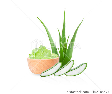 Aloe vera with slice isolated on white background, herb and medical Aloe vera with slice isolated on white background, herb and medical 102183475