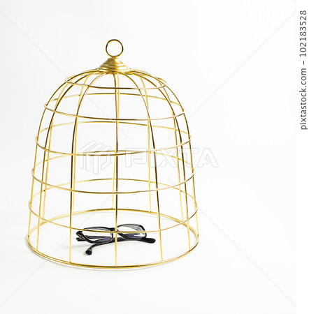 Big golden birdcage and black glasses on white background, concept, stock photo Big golden birdcage and black glasses on white background, concept, stock photo 102183528
