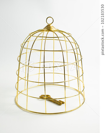 Big golden birdcage and key on white background, concept, stock photo	 102183530
