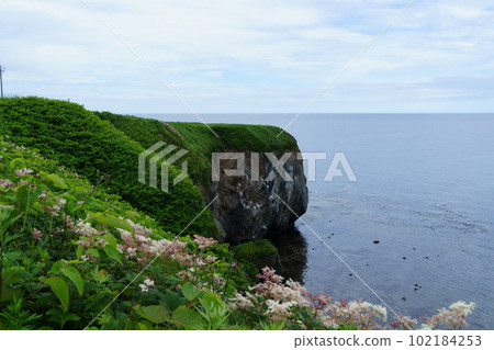北海道網走市能取岬 北海道網走市能取岬 102184253