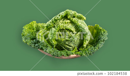 leaf, green, vegetable 102184538