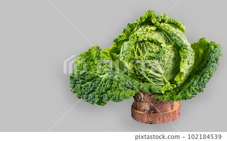 leaf, green, vegetable 102184539
