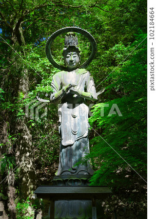 宮寺 宮寺 102184664