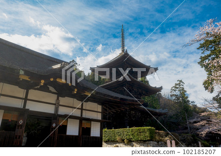 志賀三井觀音堂和三層寶塔 102185207