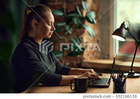 Side view portrait of concentrated business woman, sitting at table in her office and working on laptop, typing Side view portrait of concentrated business woman, sitting at table in her office and working on laptop, typing 102186139