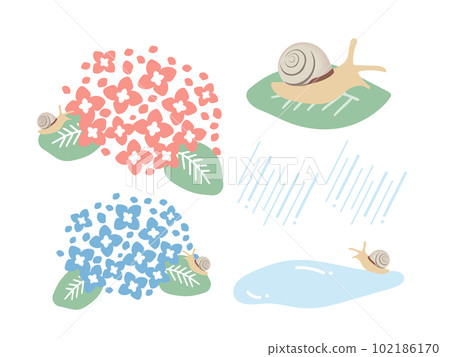 Hydrangea and snail illustration set 102186170
