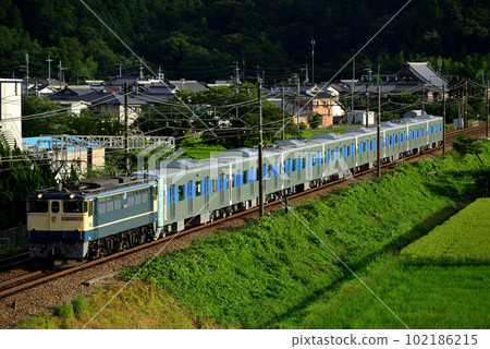 EF652068號運行於東海道線的一等運輸列車 102186215
