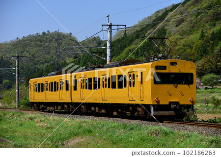 Two 115 series ordinary trains running on the Hakubi line 102186263