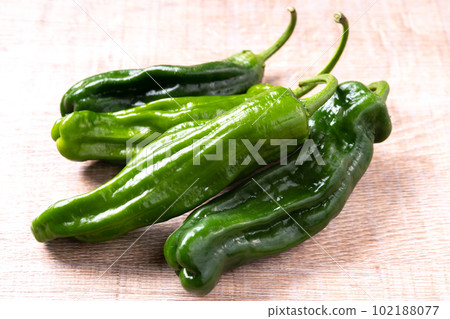 Shishito（清姬 Shishito） 102188077