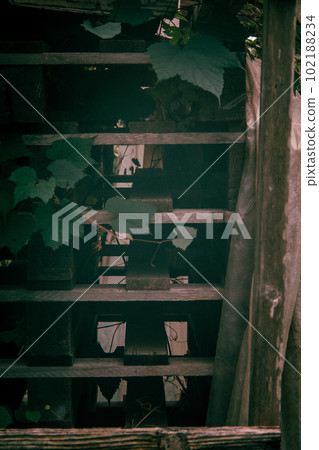 Ruins, haunted spots, Yatsugatake, Nagano, tourist spots, vacant house problem Ruins, haunted spots, Yatsugatake, Nagano, tourist spots, vacant house problem 102188234