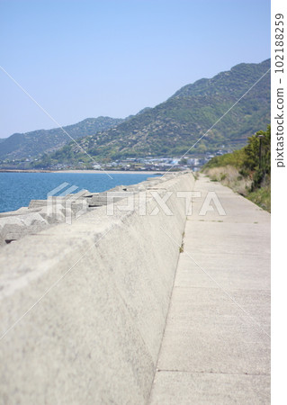 道路站豐濱 102188259