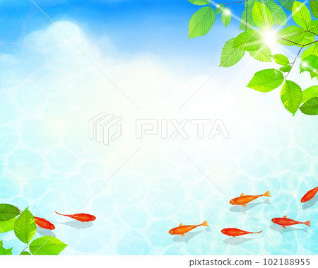 A vector summer frame material with a beautiful design of water ripples in early summer leaves and clouds, and red medaka swimming gracefully in cool water 102188955