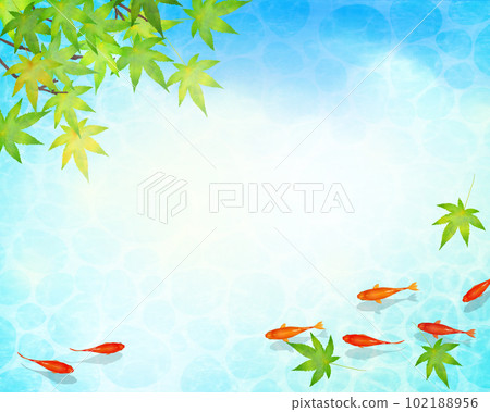 A vector summer frame material with a beautiful design of water ripples in early summer leaves and clouds, and red medaka swimming gracefully in cool water 102188956