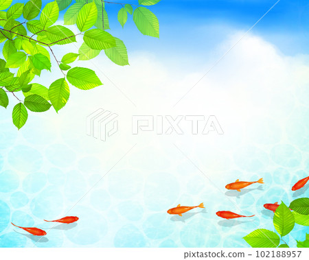 A vector summer frame material with a beautiful design of water ripples in early summer leaves and clouds, and red medaka swimming gracefully in cool water 102188957