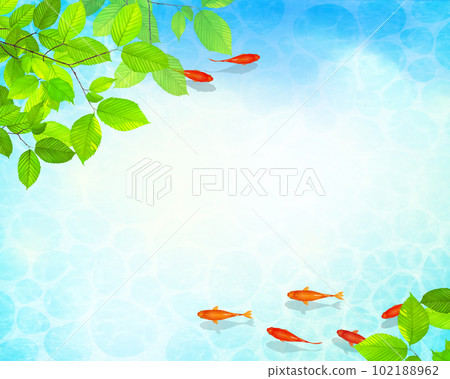 A vector summer frame material with a beautiful design of water ripples in early summer leaves and clouds, and red medaka swimming gracefully in cool water 102188962