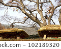 ROOF 102189320