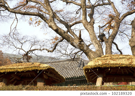 ROOF ROOF 102189320
