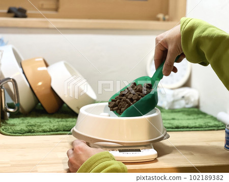 手放食物入防速食餐具 手放食物入防速食餐具 102189382