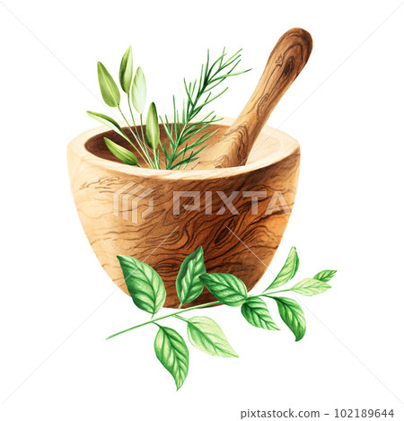 Watercolor wooden mortar and pestle isolated on white background. Beauty products and botany elements, cosmetology and medicine. For designers, spa decoration, postcards, wrapping paper, scrapbooking Watercolor wooden mortar and pestle isolated on white background. Beauty products and botany elements, cosmetology and medicine. For designers, spa decoration, postcards, wrapping paper, scrapbooking 102189644