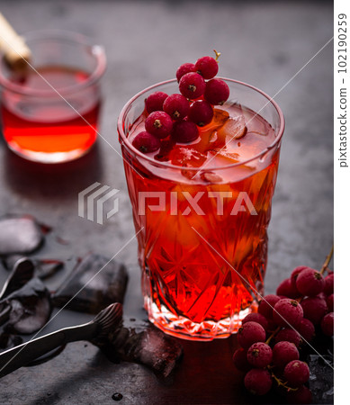 Alcoholic cocktail with red currant Alcoholic cocktail with red currant 102190259
