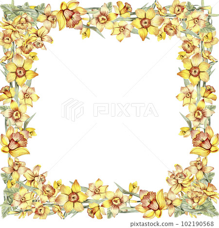 Watercolor hand drawn spring garden full of narcissus square frame. Summer illustration for scrapbooking. Cartoon hand drawn background with flower for kids design. Perfect for wedding invitation. Watercolor hand drawn spring garden full of narcissus square frame. Summer illustration for scrapbooking. Cartoon hand drawn background with flower for kids design. Perfect for wedding invitation. 102190568