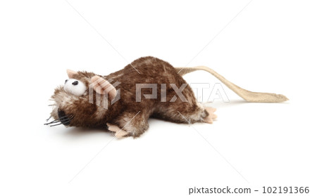 Toy mouse for cats isolated. Toy mouse for cats isolated. 102191366