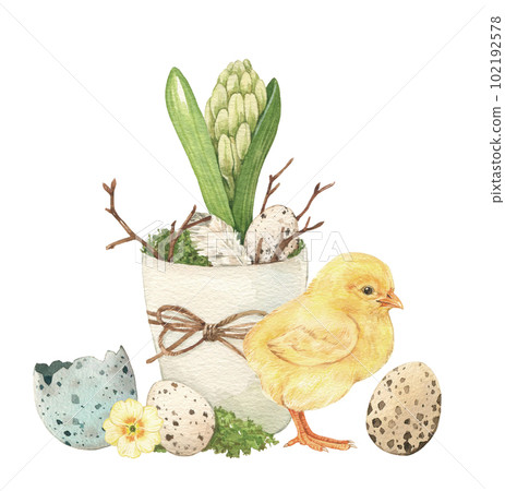 Watercolor chicken with flowers isolated on a white background. Hand drawn Watercolor chicken with flowers isolated on a white background. Hand drawn 102192578