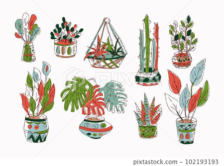 Indoor plants isolated vector colorful hand draw illustration collection Monstera, cactus, ficus, sansevieria, zamioculcas Potted houseplants 102193193