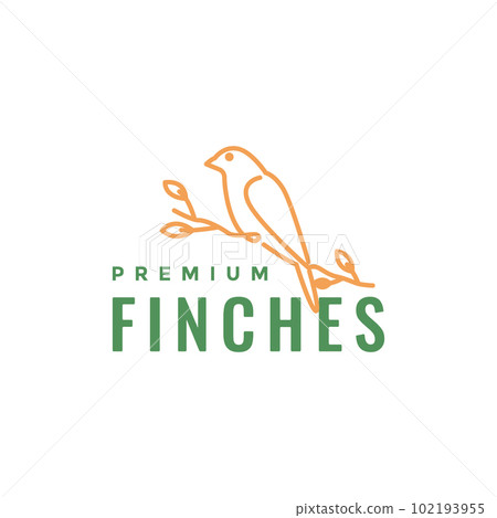 exotic bird beauty feminine finches perched... - Stock Illustration ...