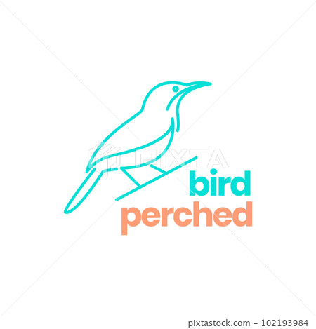 sharp beak bird exotic perched twig line art minimal modern logo design vector sharp beak bird exotic perched twig line art minimal modern logo design vector 102193984